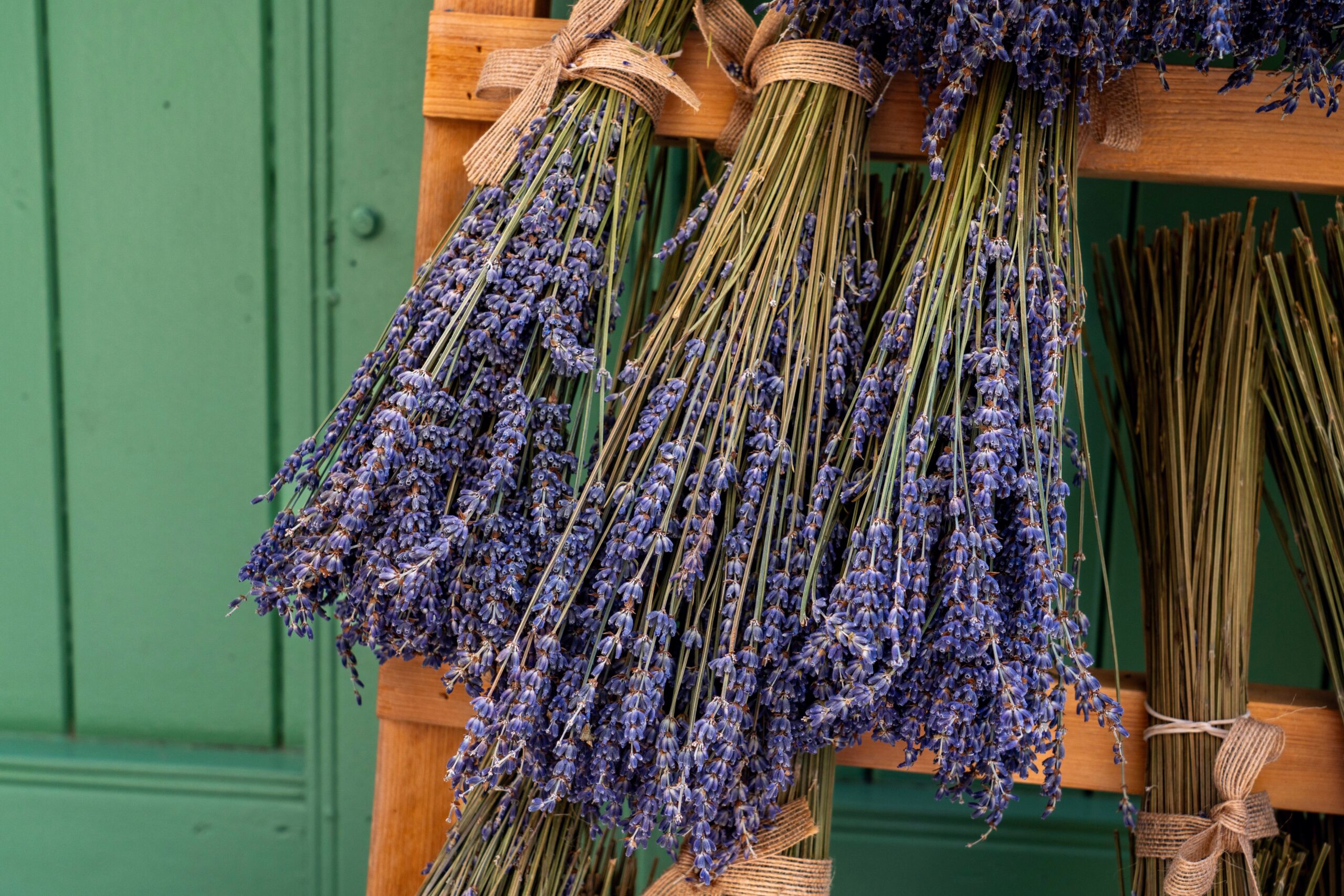 4 Dicas de essências de lavanda para velas